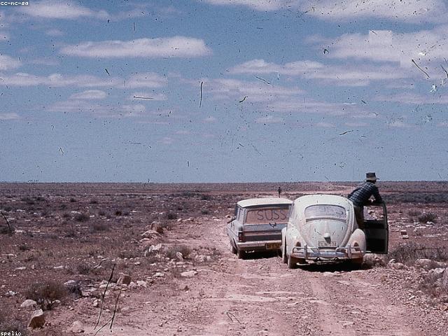 VW Vocho clásico 1998